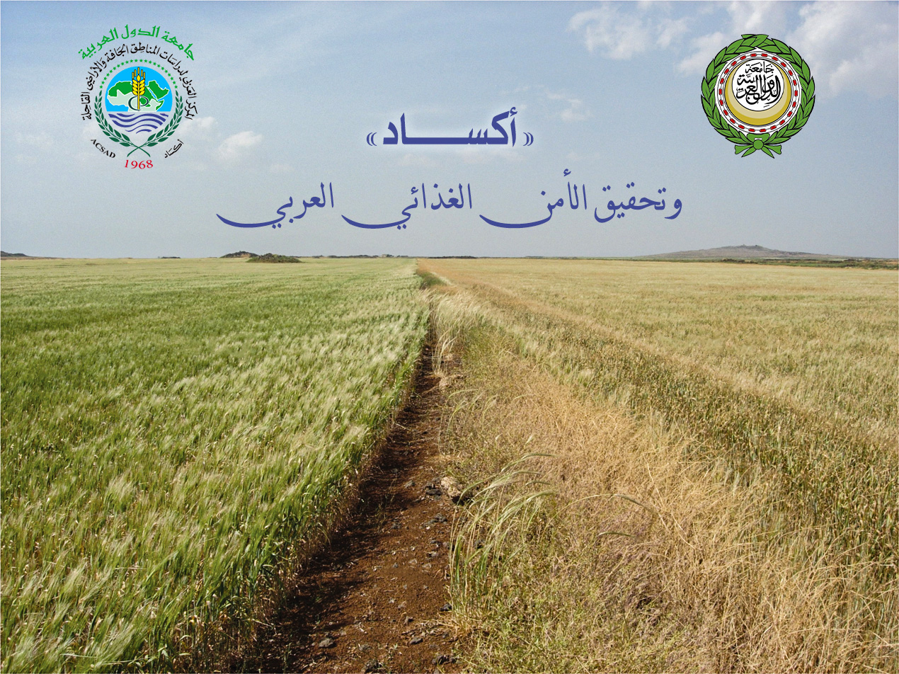 لا يوجد