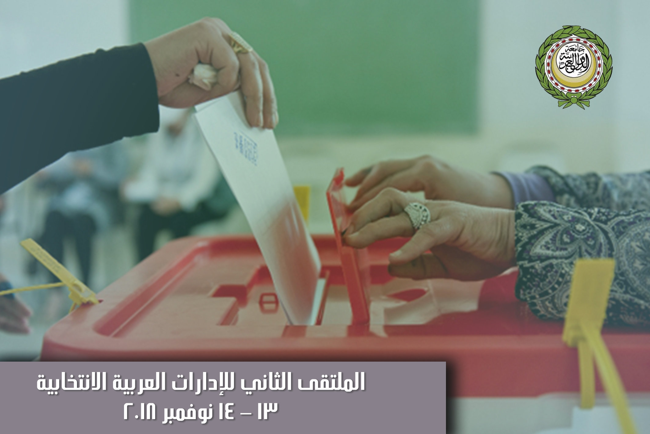 لا يوجد